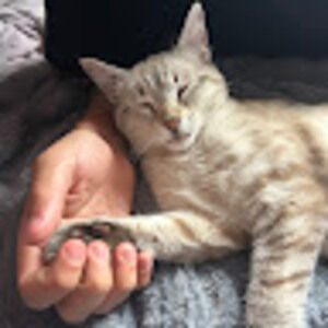 Meet your Posher, Cali